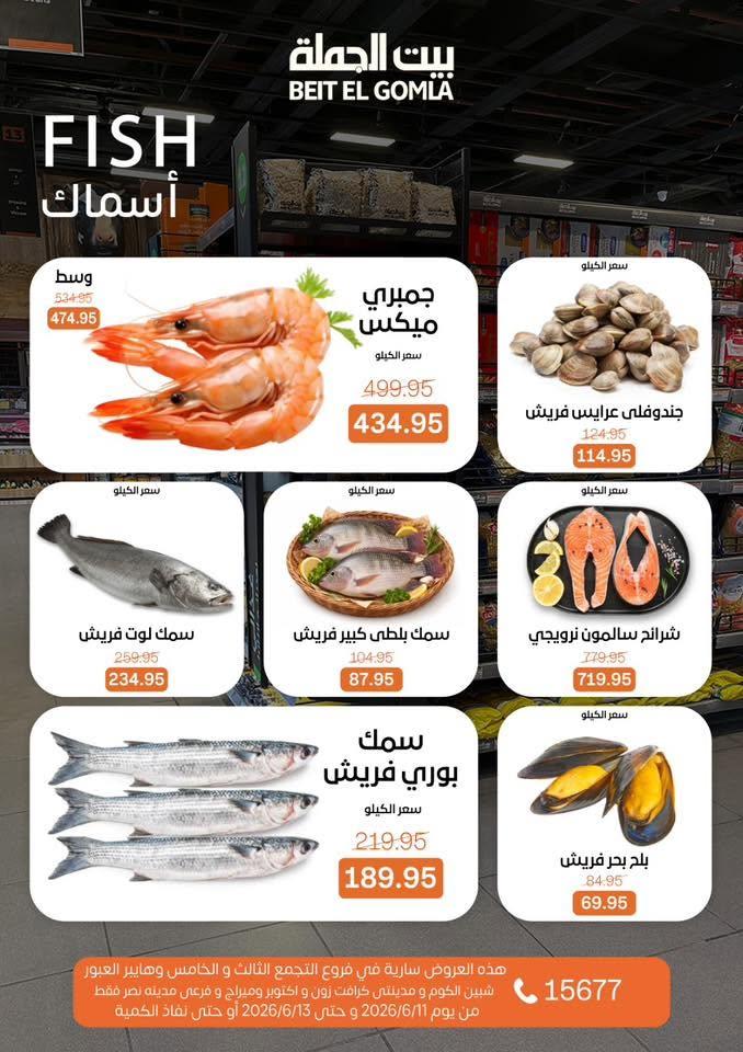 عروض بيت الجملة 11-13 يونيو 2026 صفحة 8
