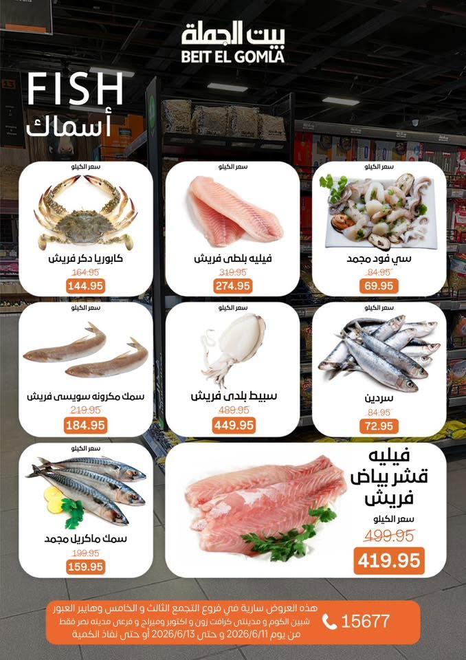 عروض بيت الجملة 11-13 يونيو 2026 صفحة 9