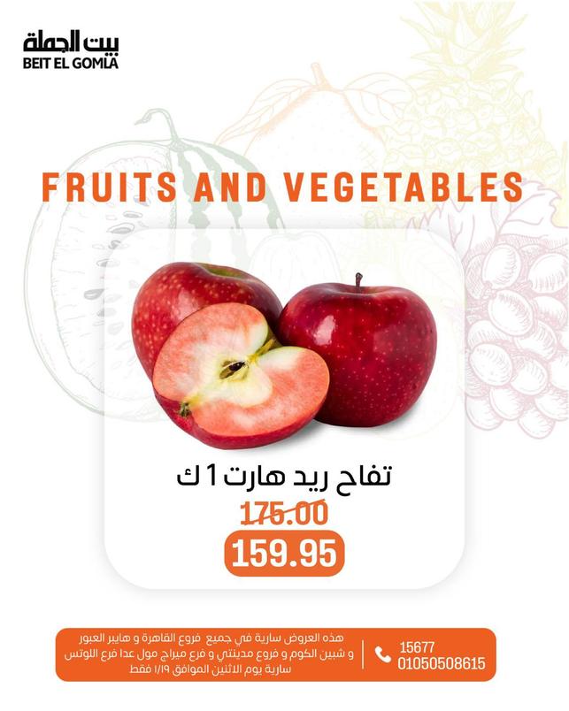 عروض بيت الجملة ليوم الإثنين 19 يناير 2026 صفحة 10 - beit elgomla offers 19-19 January 2026 page 10