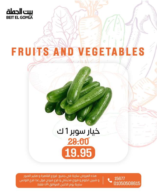عروض بيت الجملة ليوم الإثنين 19 يناير 2026 صفحة 17 - beit elgomla offers 19-19 January 2026 page 17
