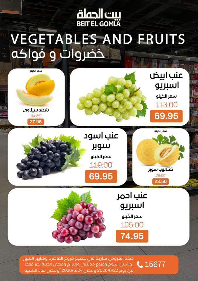 عروض بيت الجملة 22 يونيو 2026 صفحة 13