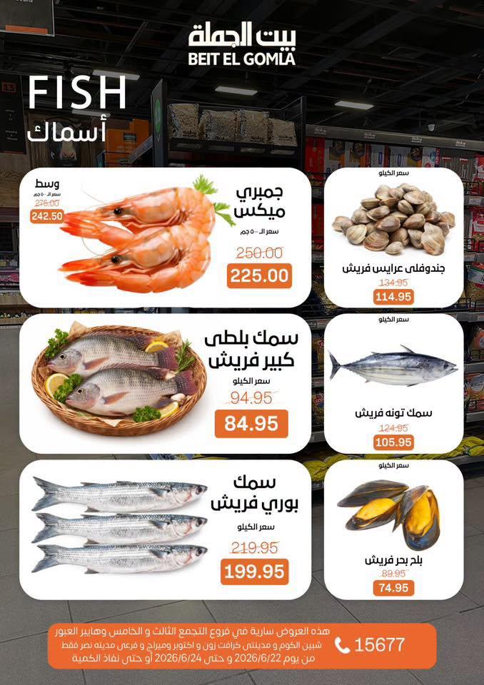 عروض بيت الجملة 22 يونيو 2026 صفحة 7