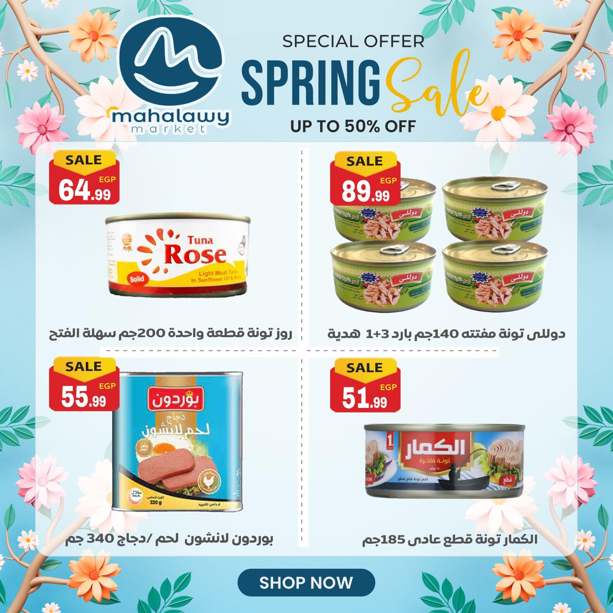 عروض أولاد المحلاوي من 14 ابريل 2026  صفحة 14 - el mahallawy sons offers 14-14 April 2026 page 14