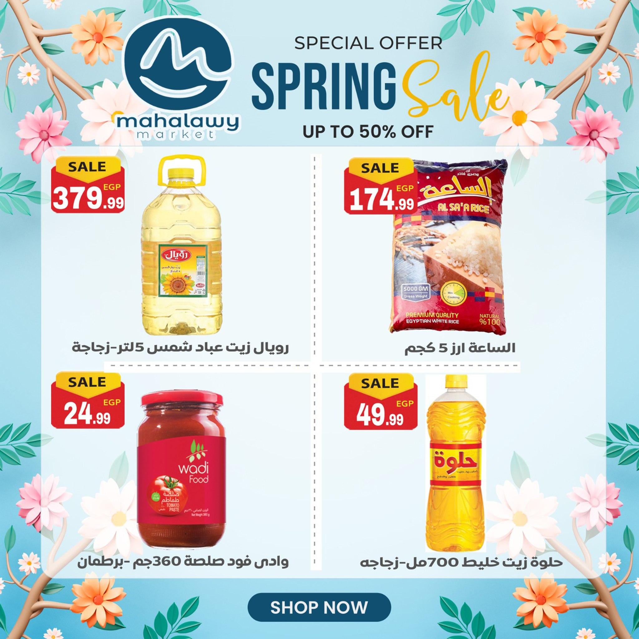 عروض أولاد المحلاوي من 14 ابريل 2026  صفحة 16 - el mahallawy sons offers 14-14 April 2026 page 16