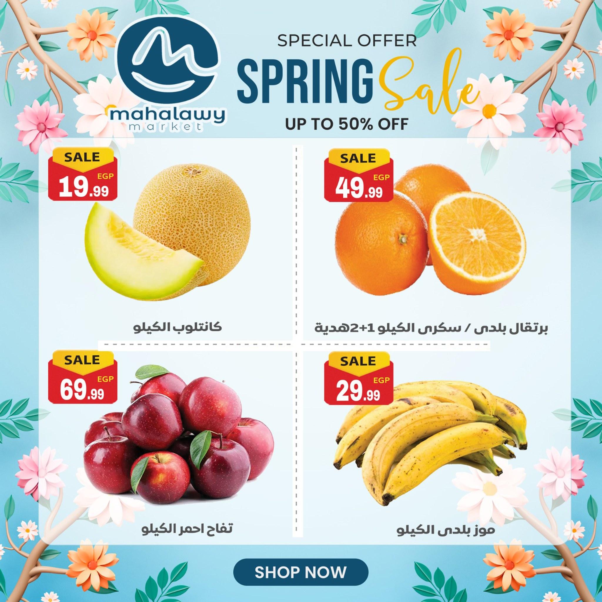 عروض أولاد المحلاوي من 14 ابريل 2026  صفحة 17 - el mahallawy sons offers 14-14 April 2026 page 17