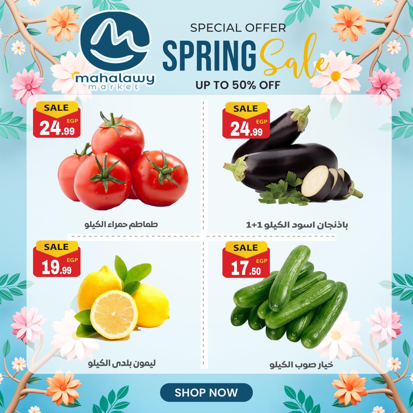 عروض أولاد المحلاوي من 14 ابريل 2026  صفحة 18 - el mahallawy sons offers 14-14 April 2026 page 18