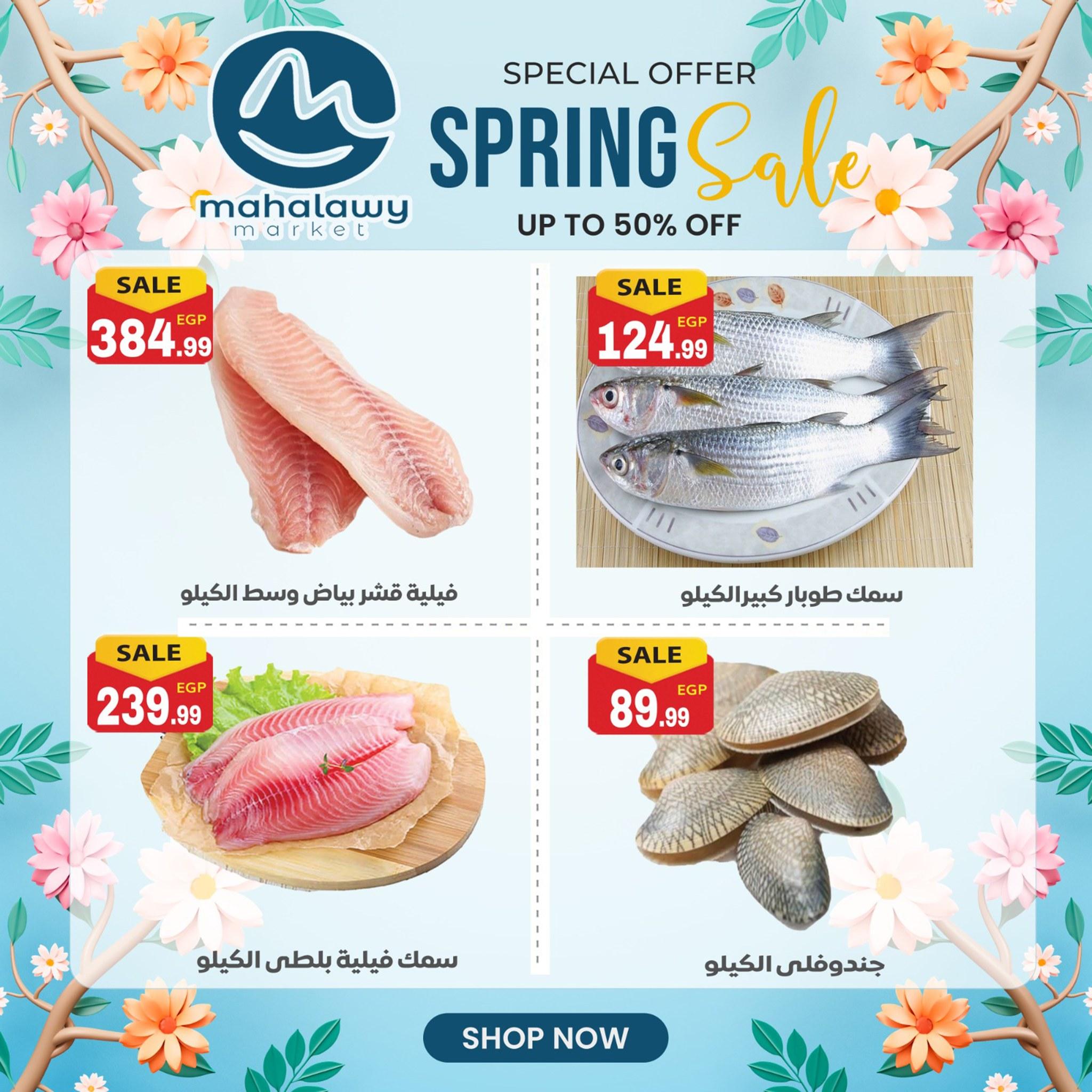 عروض أولاد المحلاوي من 14 ابريل 2026  صفحة 23 - el mahallawy sons offers 14-14 April 2026 page 23