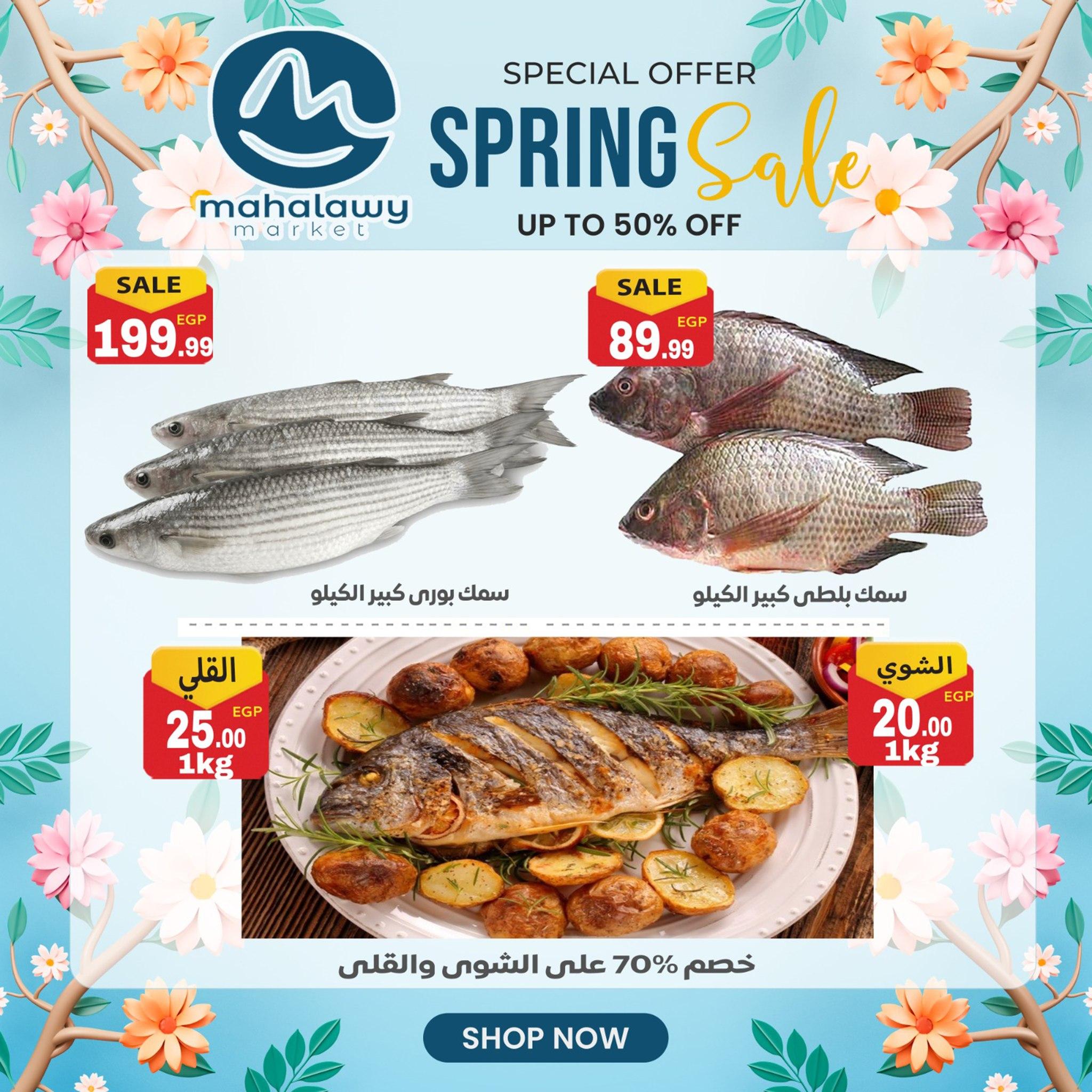 عروض أولاد المحلاوي من 14 ابريل 2026  صفحة 25 - el mahallawy sons offers 14-14 April 2026 page 25