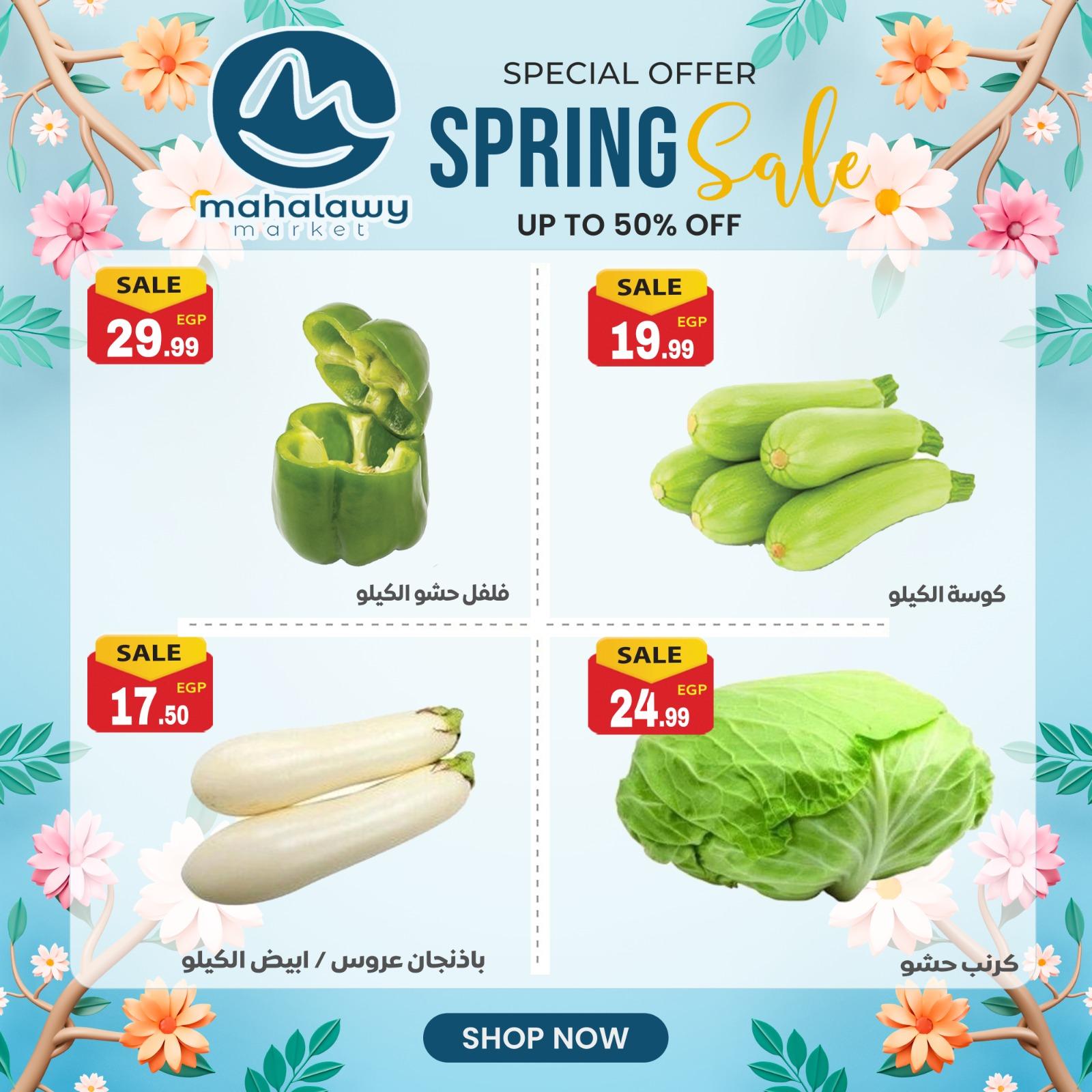 عروض أولاد المحلاوي 23-26 إبريل 2026 صفحة 41 - el mahallawy sons offers 23-26 April 2026 page 41