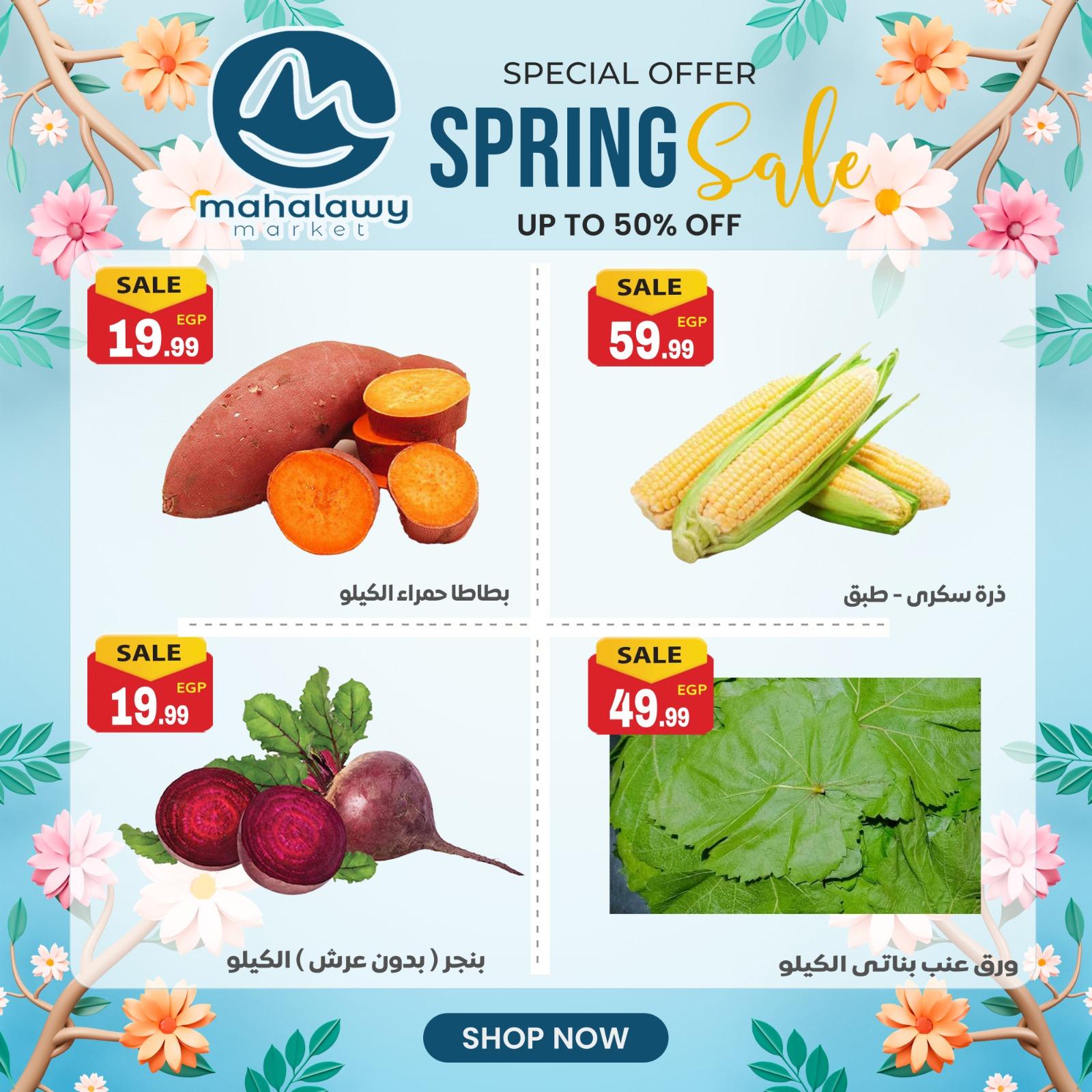 عروض أولاد المحلاوي 23-26 إبريل 2026 صفحة 42 - el mahallawy sons offers 23-26 April 2026 page 42