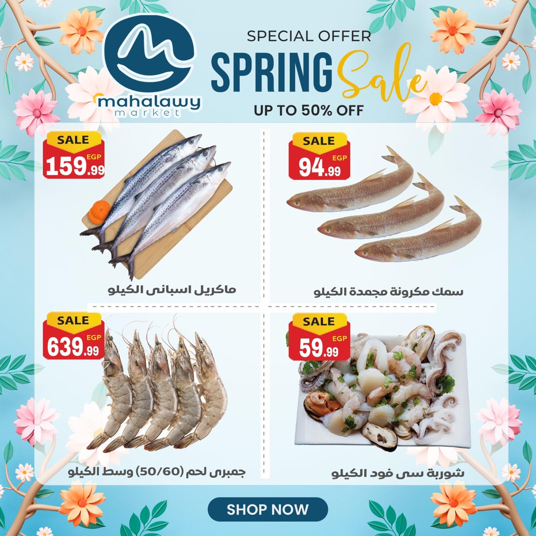 عروض أولاد المحلاوي 30 مارس - 4 إبريل 2026 صفحة 41 - el mahallawy sons offers 30 March - 4 April 2026 page 41