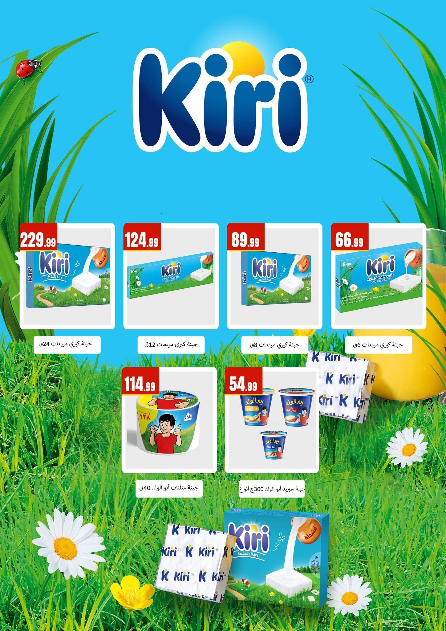 عروض المحلاوي ستورز 18-24 يونيو 2026 صفحة 17 - el mahallawy stores offers 18-24 June 2026 page 17