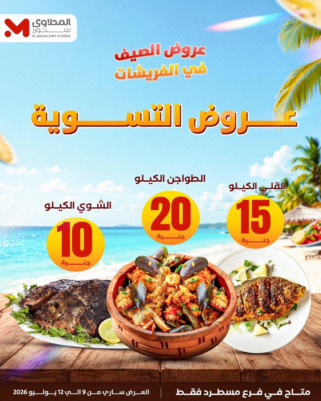 عروض المحلاوي ستورز 9-12 يوليو 2026 صفحة 14