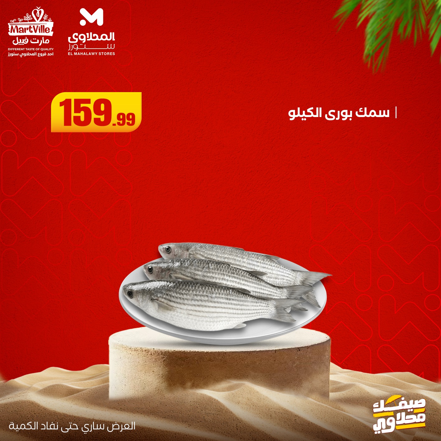 el-mahallawy offers from 13jul to 3jun 2025 عروض المحلاوي من 13 يوليو حتى 3 يونيو 2025 صفحة رقم 2