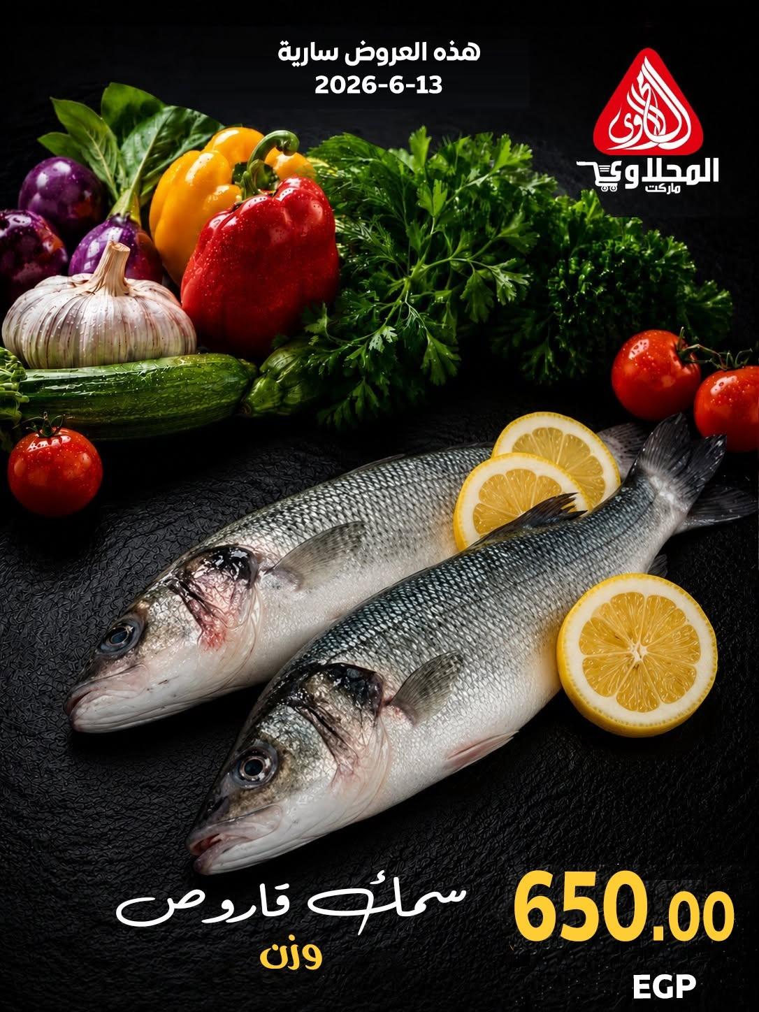 عروض المحلاوي عروض اليوم الواحد 13 يونيو 2026  صفحة 2 - el mahallawy offers 13-13 June 2026 page 2