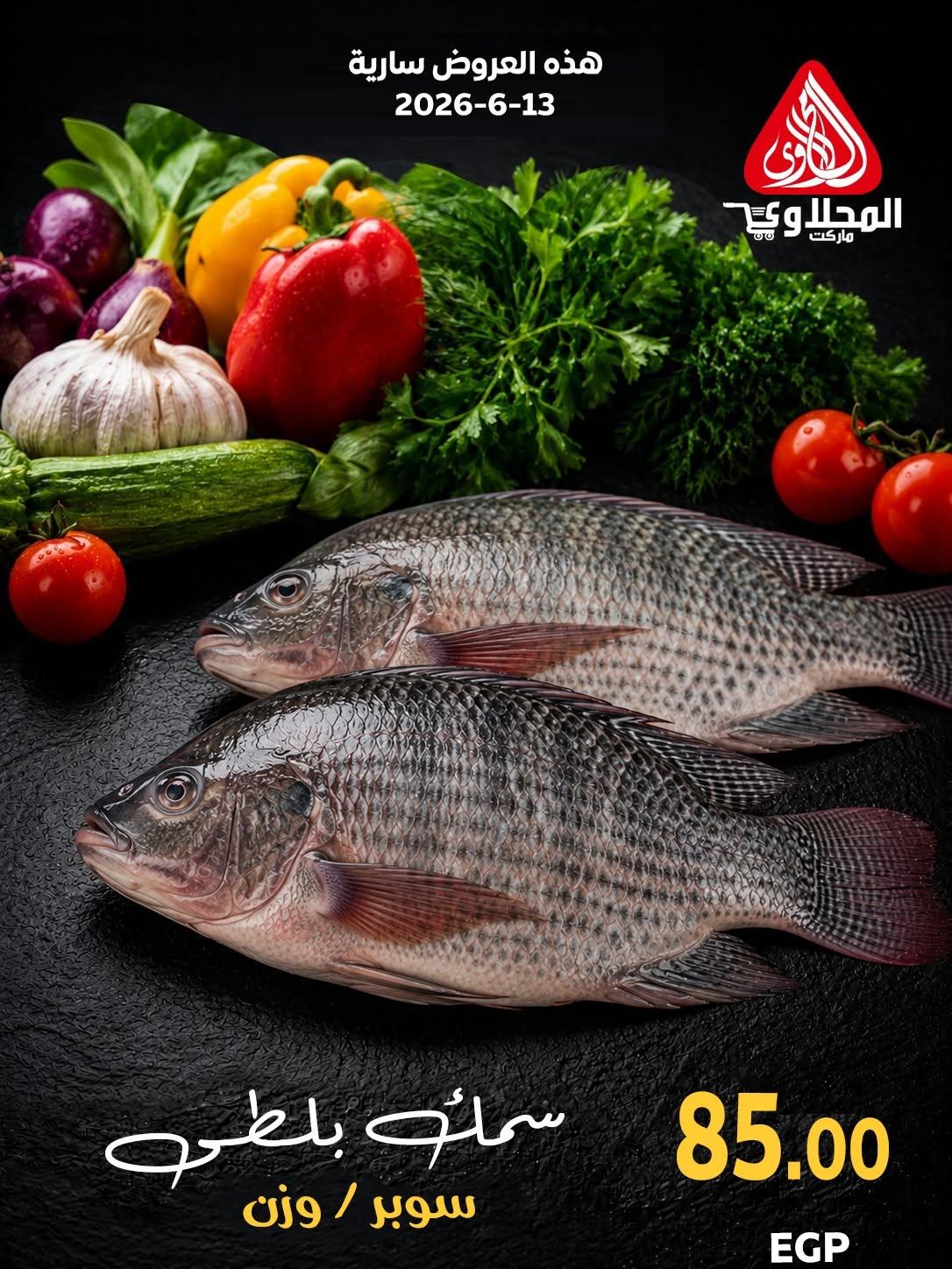 عروض المحلاوي عروض اليوم الواحد 13 يونيو 2026  صفحة 3 - el mahallawy offers 13-13 June 2026 page 3