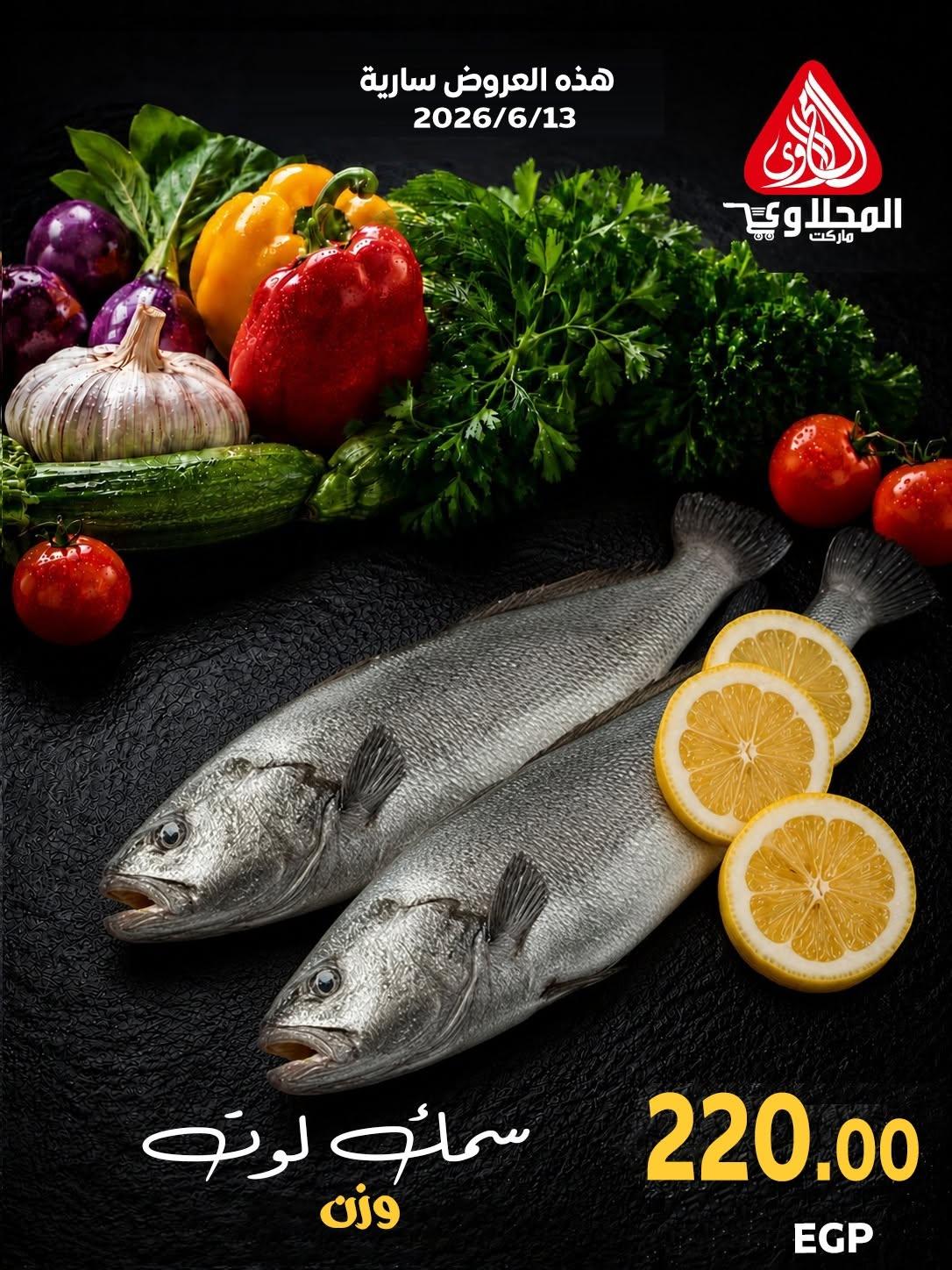 عروض المحلاوي عروض اليوم الواحد 13 يونيو 2026  صفحة 4 - el mahallawy offers 13-13 June 2026 page 4
