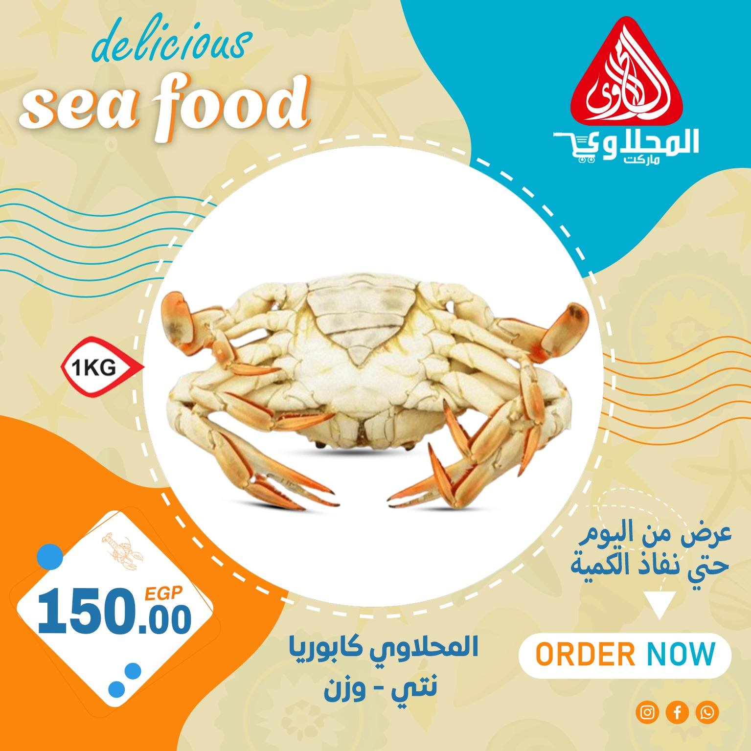 el-mahallawy offers from 16aug to 3aug 2025 عروض المحلاوي من 16 أغسطس حتى 3 أغسطس 2025 صفحة رقم 10