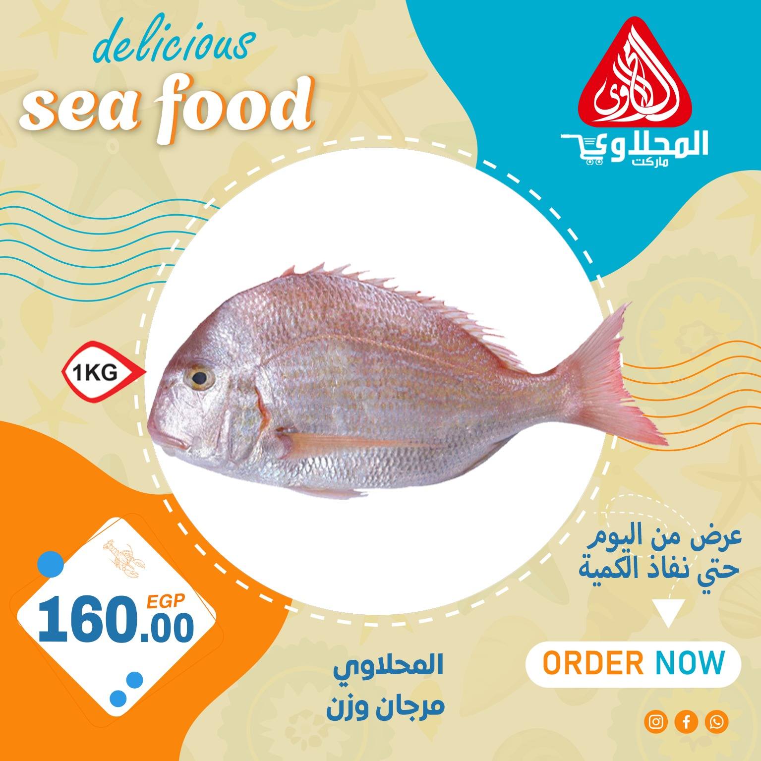 el-mahallawy offers from 16aug to 3aug 2025 عروض المحلاوي من 16 أغسطس حتى 3 أغسطس 2025 صفحة رقم 11