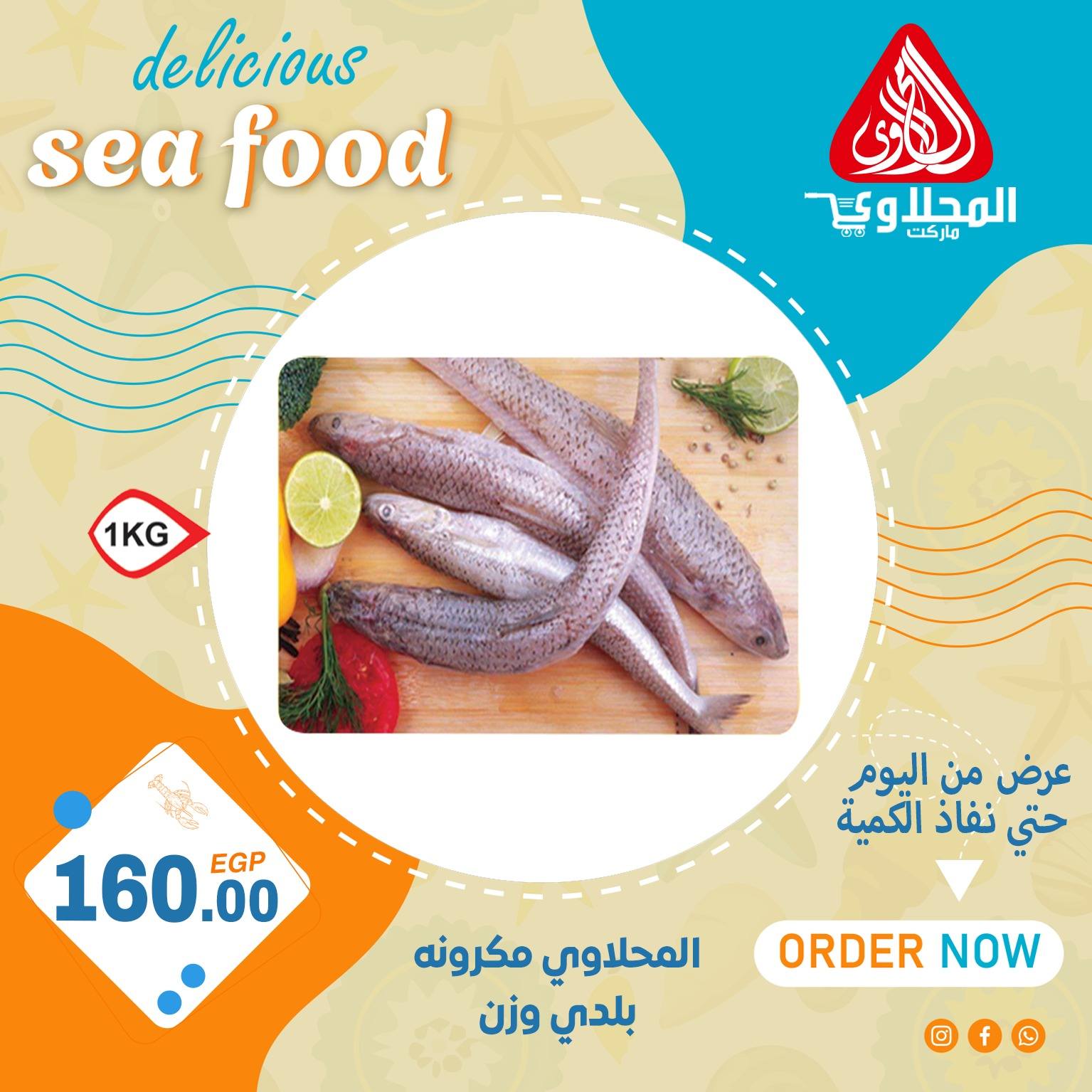 el-mahallawy offers from 16aug to 3aug 2025 عروض المحلاوي من 16 أغسطس حتى 3 أغسطس 2025 صفحة رقم 12