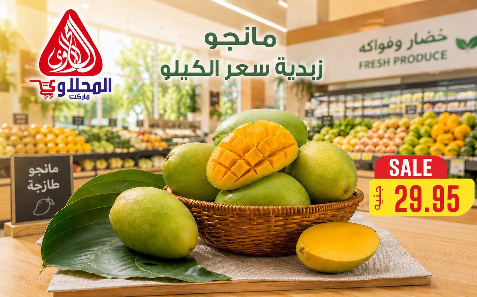 عروض المحلاوي من 23 يونيو 2026  صفحة 12 - el mahallawy offers 23-23 June 2026 page 12
