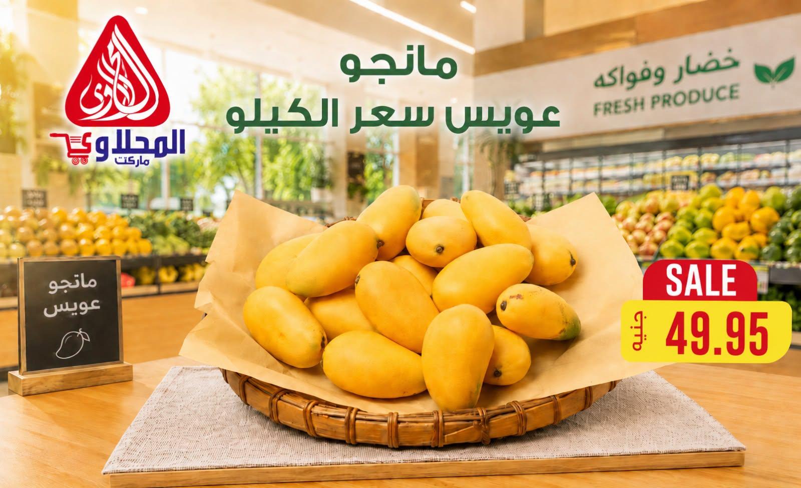 عروض المحلاوي من 23 يونيو 2026  صفحة 13 - el mahallawy offers 23-23 June 2026 page 13