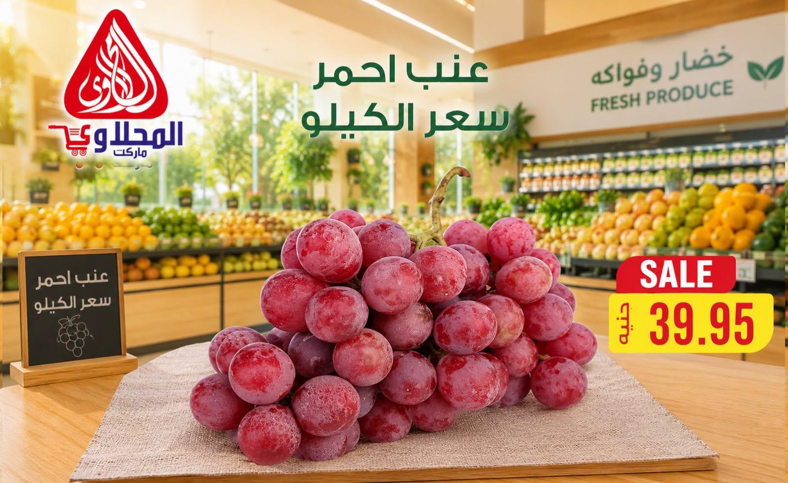عروض المحلاوي من 23 يونيو 2026  صفحة 14 - el mahallawy offers 23-23 June 2026 page 14