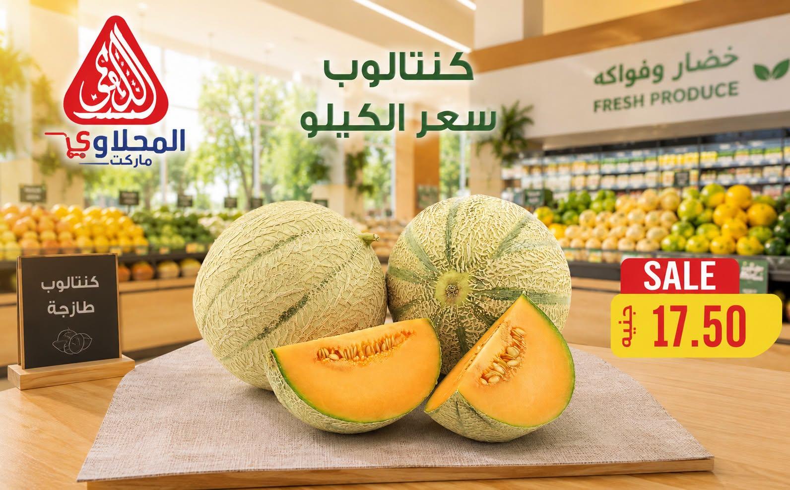 عروض المحلاوي من 23 يونيو 2026  صفحة 16 - el mahallawy offers 23-23 June 2026 page 16