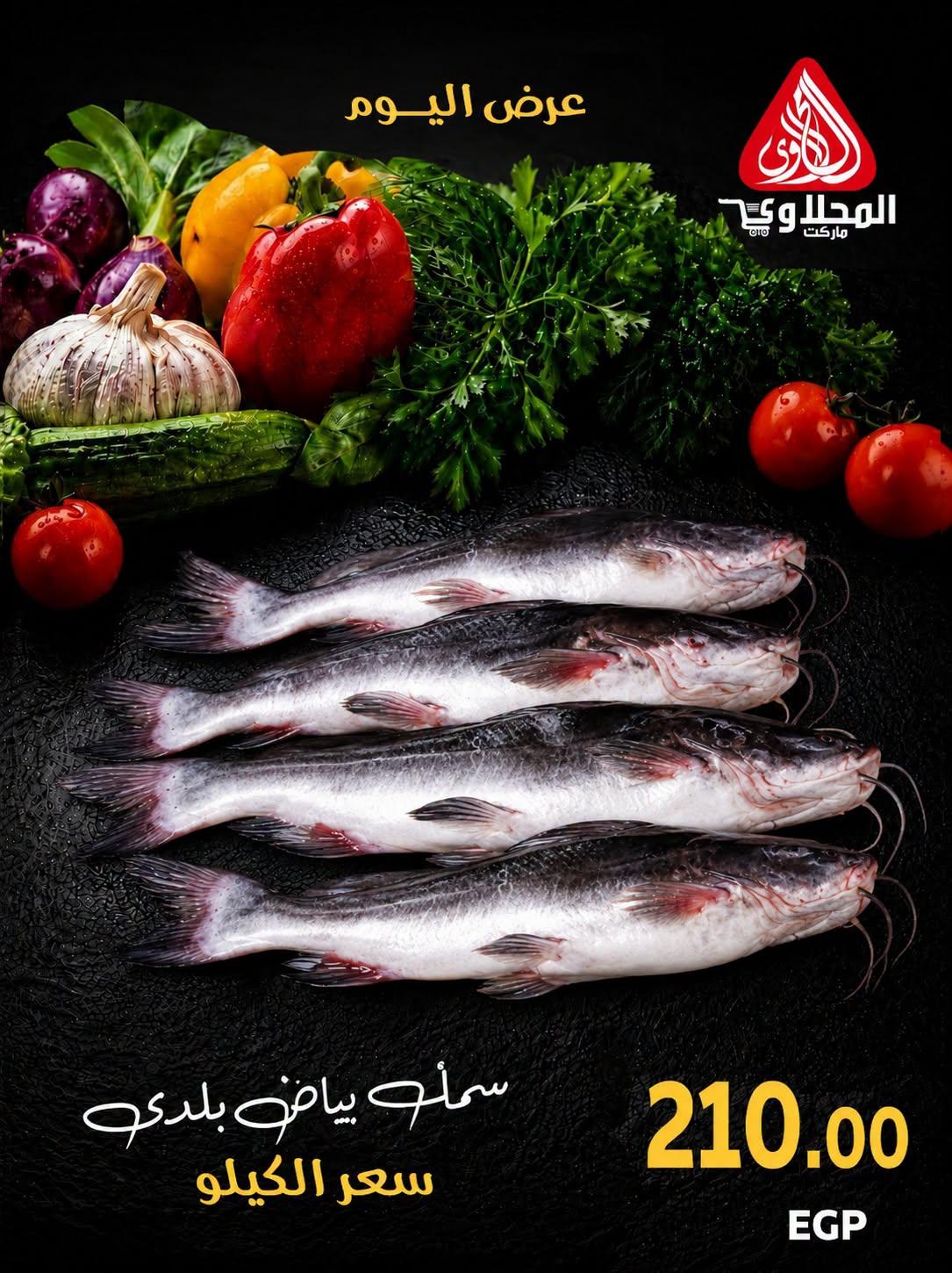عروض المحلاوي من 23 يونيو 2026  صفحة 3 - el mahallawy offers 23-23 June 2026 page 3