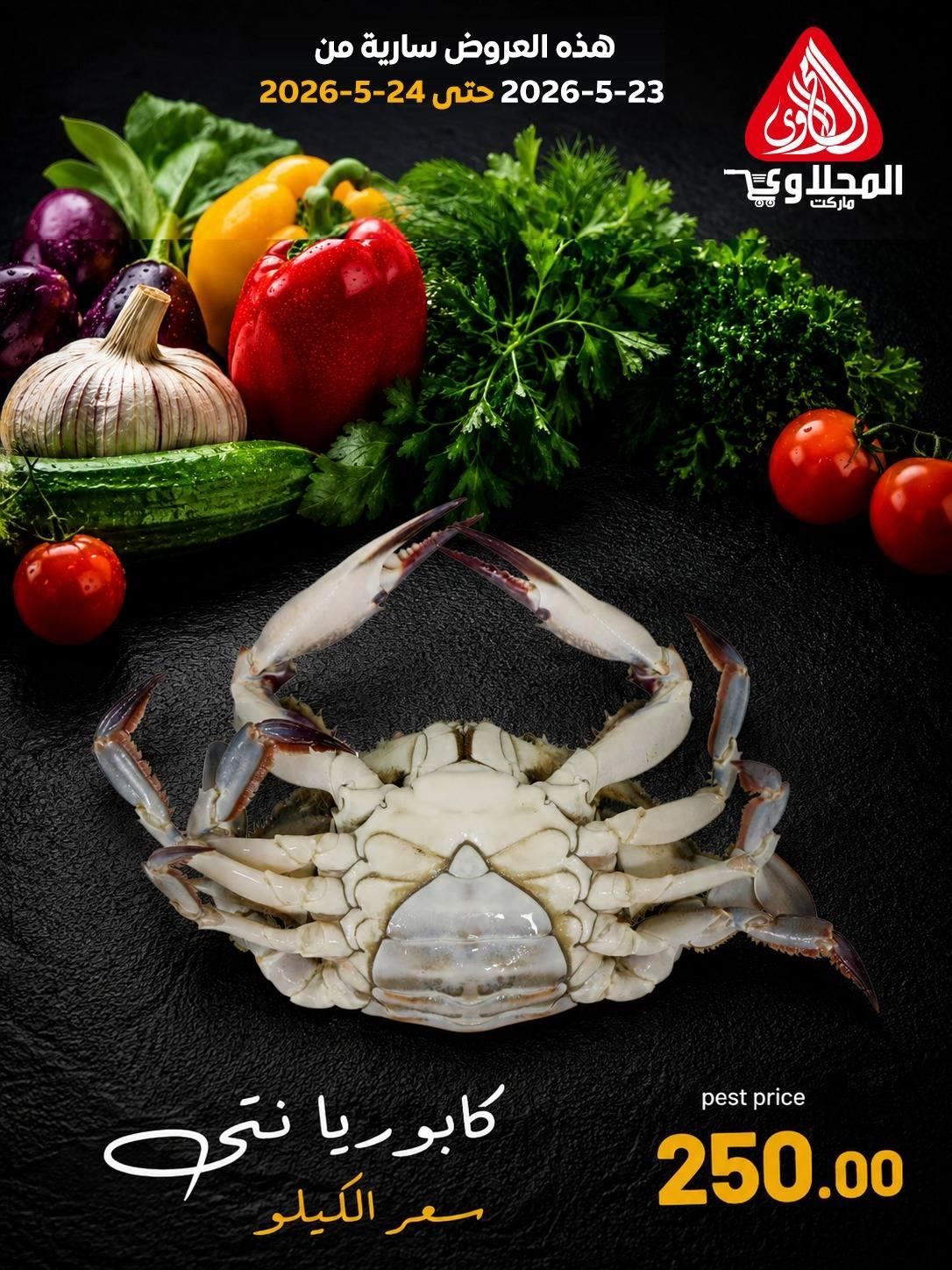 عروض المحلاوي 23-24 مايو 2026 صفحة 3 - el mahallawy offers 23-24 May 2026 page 3