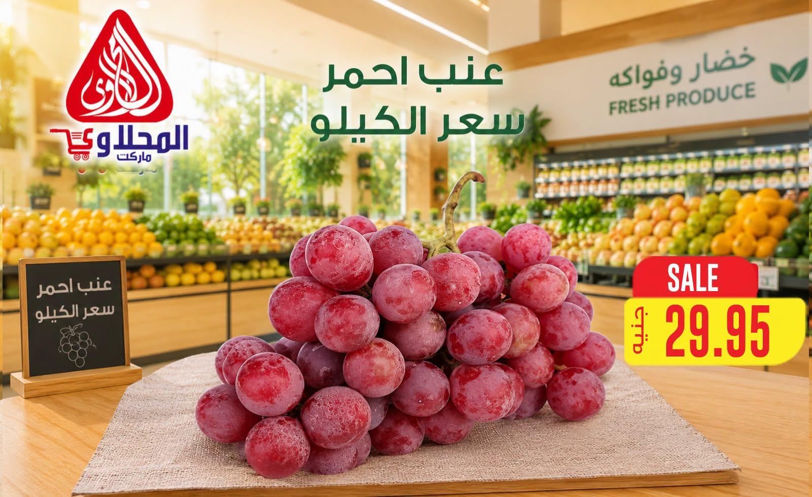 عروض المحلاوي 28 يونيو 2026 صفحة 10