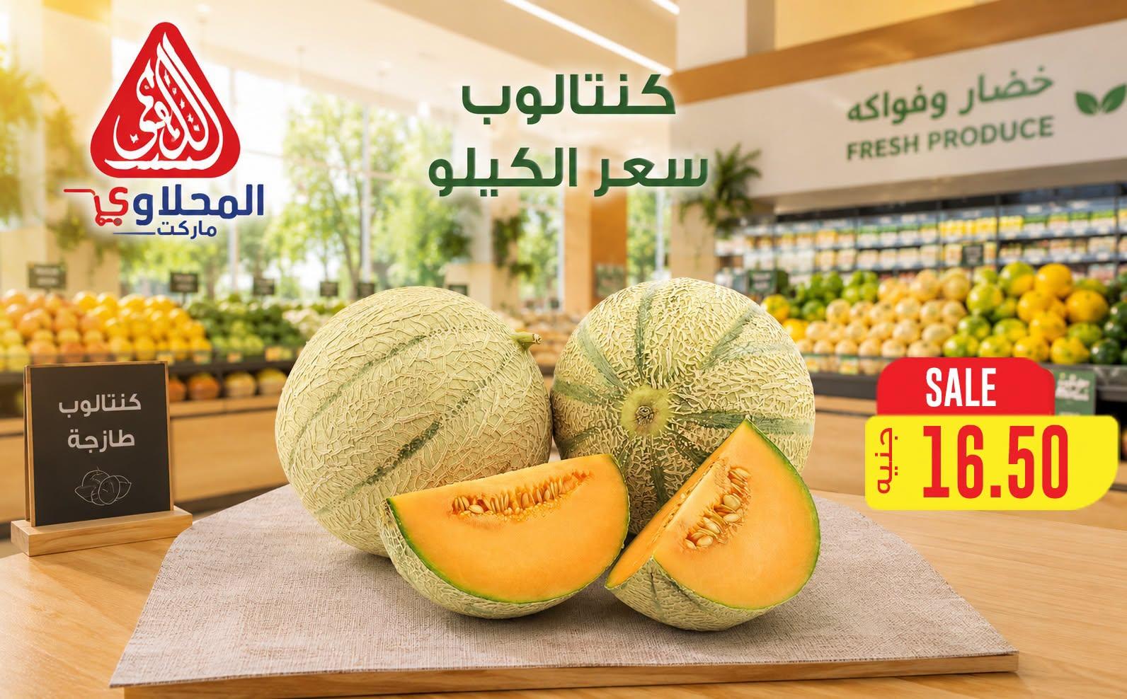 عروض المحلاوي 28 يونيو 2026 صفحة 13