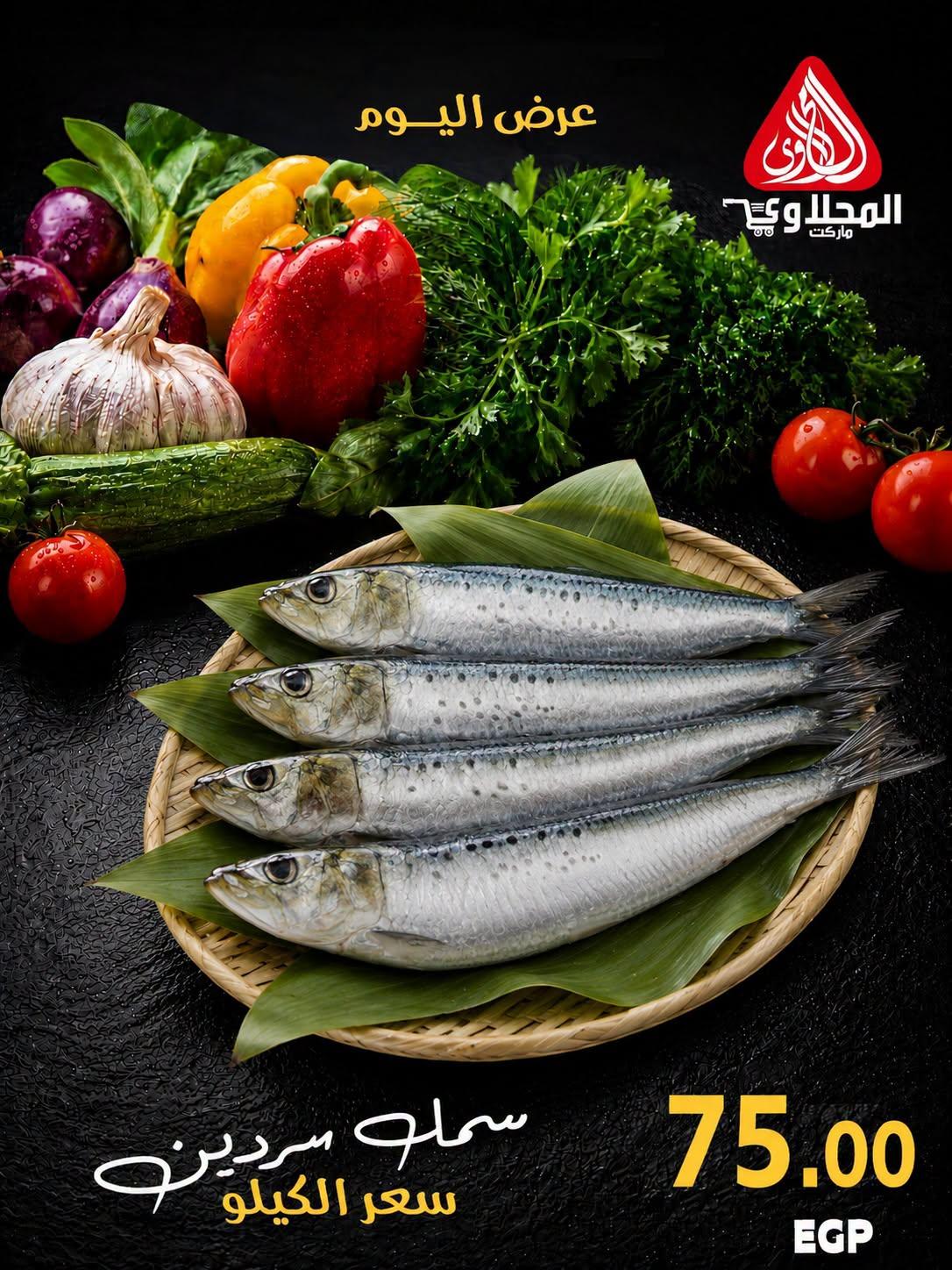 عروض المحلاوي 28 يونيو 2026 صفحة 30