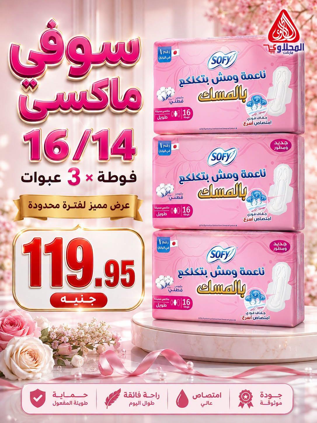 عروض المحلاوي 28 يونيو 2026 صفحة 47