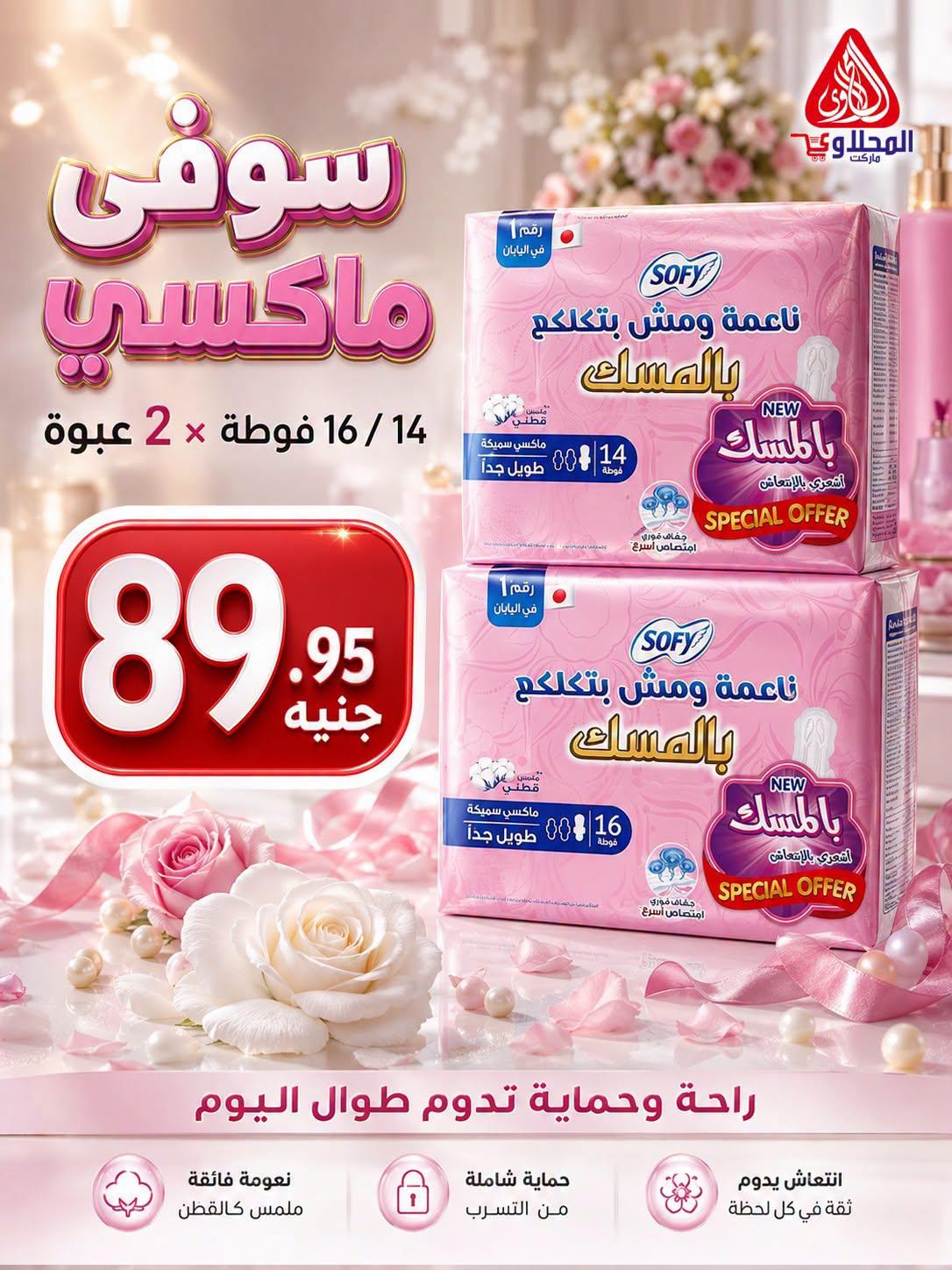 عروض المحلاوي 28 يونيو 2026 صفحة 48
