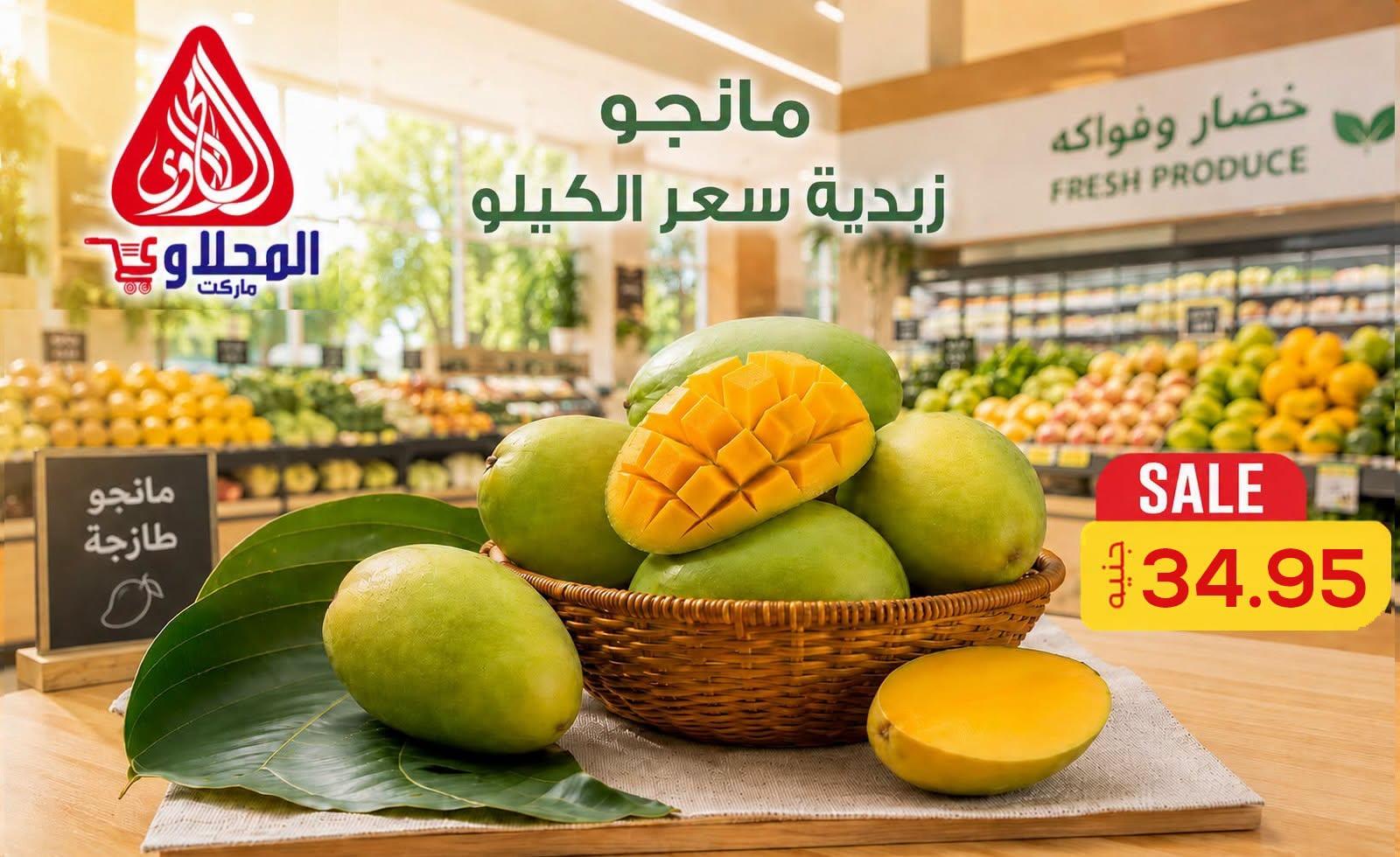 عروض المحلاوي 2-3 يوليو 2026 صفحة 14