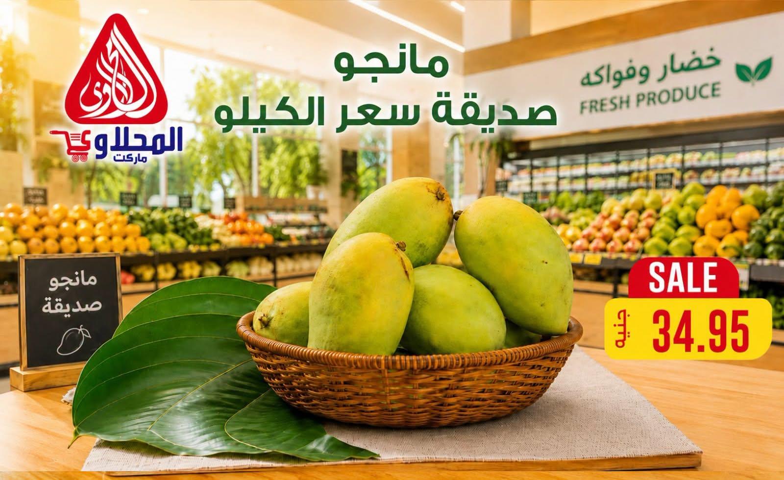عروض المحلاوي 2-3 يوليو 2026 صفحة 15