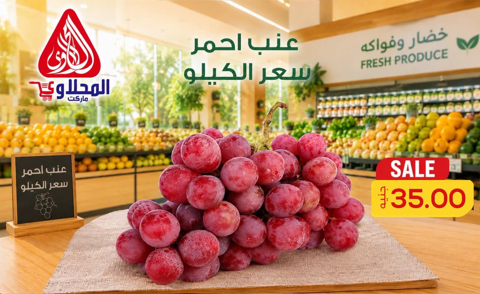 عروض المحلاوي 2-3 يوليو 2026 صفحة 17