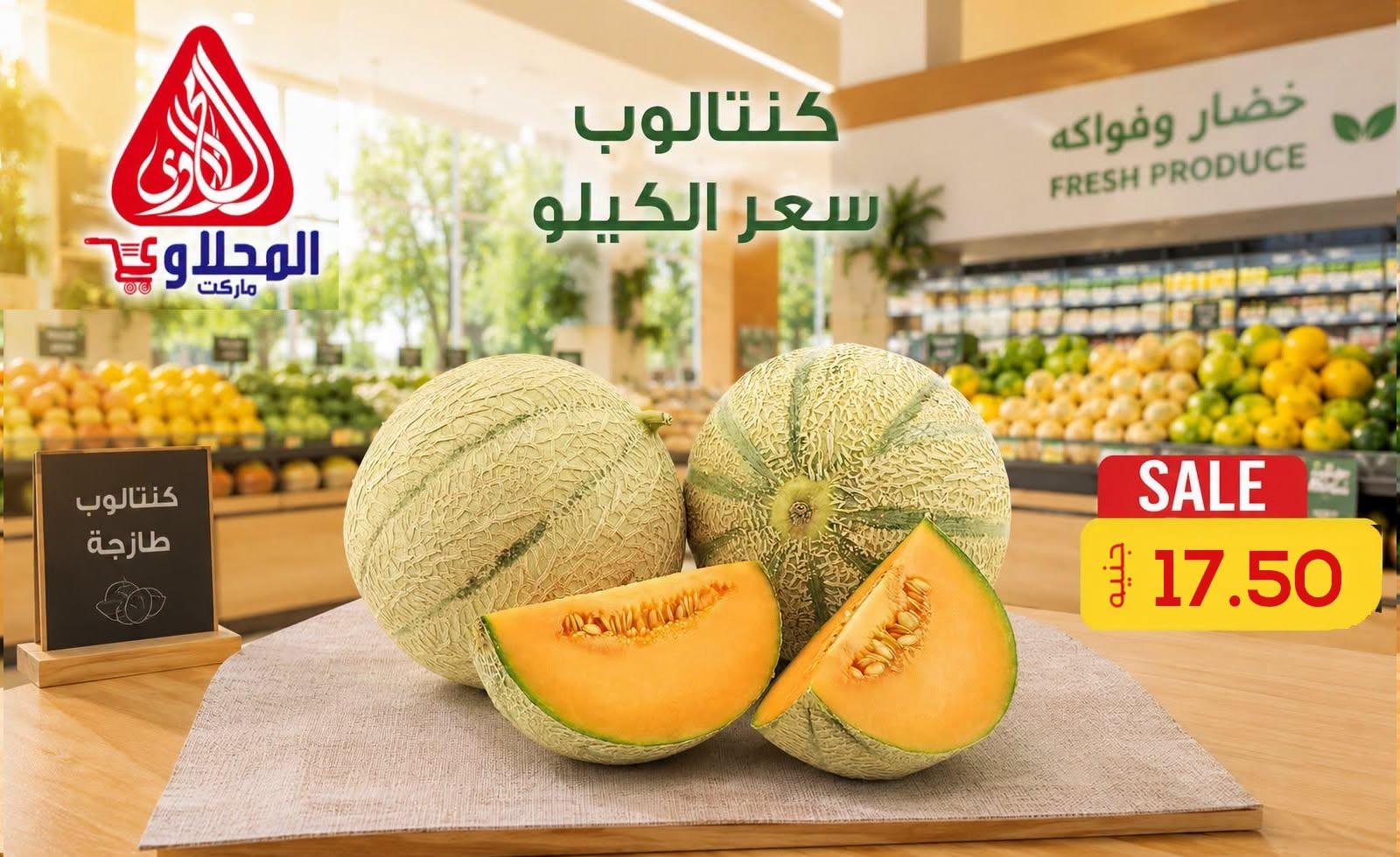 عروض المحلاوي 2-3 يوليو 2026 صفحة 19