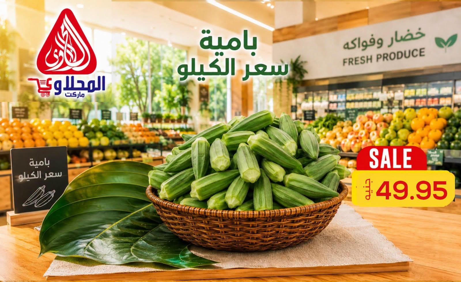 عروض المحلاوي 2-3 يوليو 2026 صفحة 22