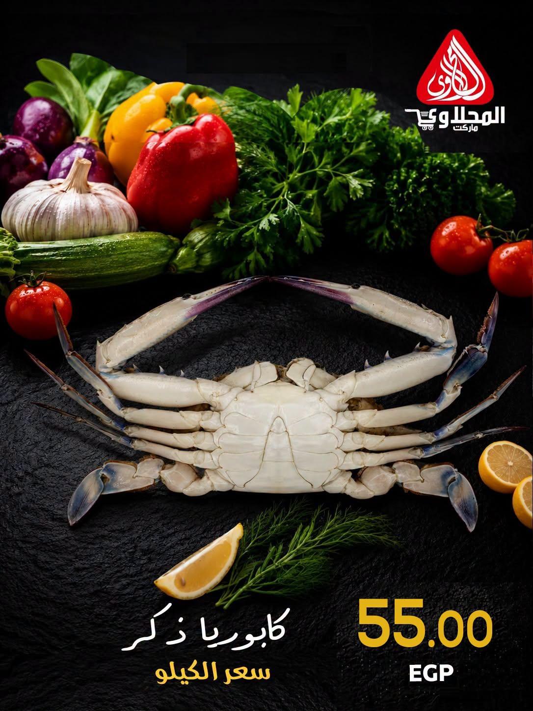 عروض المحلاوي 2-3 يوليو 2026 صفحة 9
