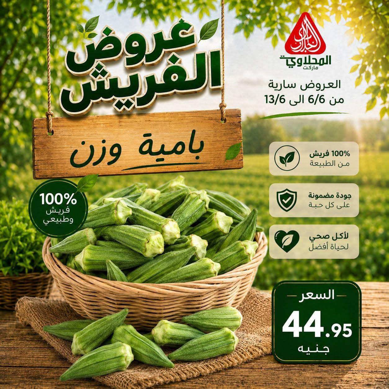 عروض المحلاوي 6-13 يونيو 2026 صفحة 10 - el mahallawy offers 6-13 June 2026 page 10