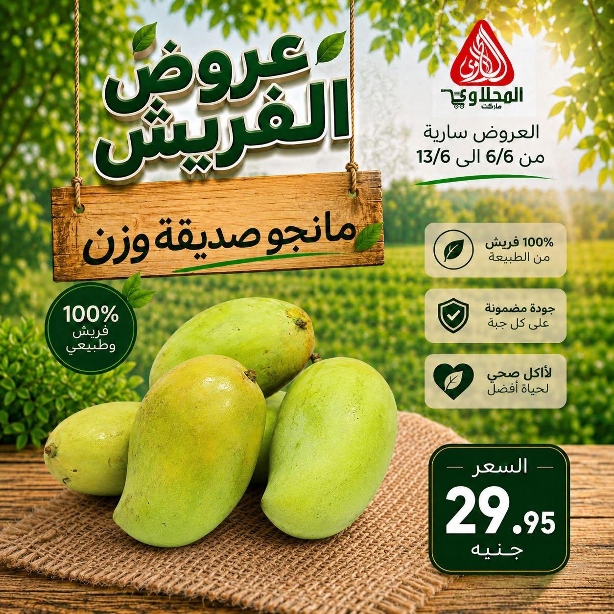 عروض المحلاوي 6-13 يونيو 2026 صفحة 11 - el mahallawy offers 6-13 June 2026 page 11