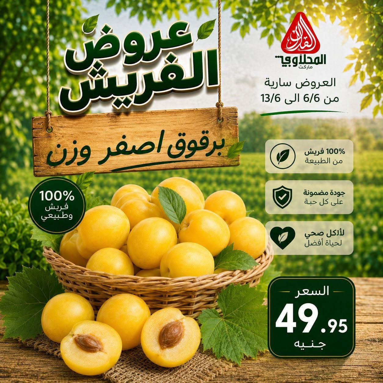 عروض المحلاوي 6-13 يونيو 2026 صفحة 13 - el mahallawy offers 6-13 June 2026 page 13