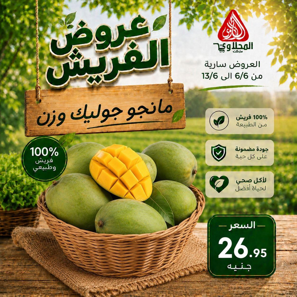 عروض المحلاوي 6-13 يونيو 2026 صفحة 14 - el mahallawy offers 6-13 June 2026 page 14