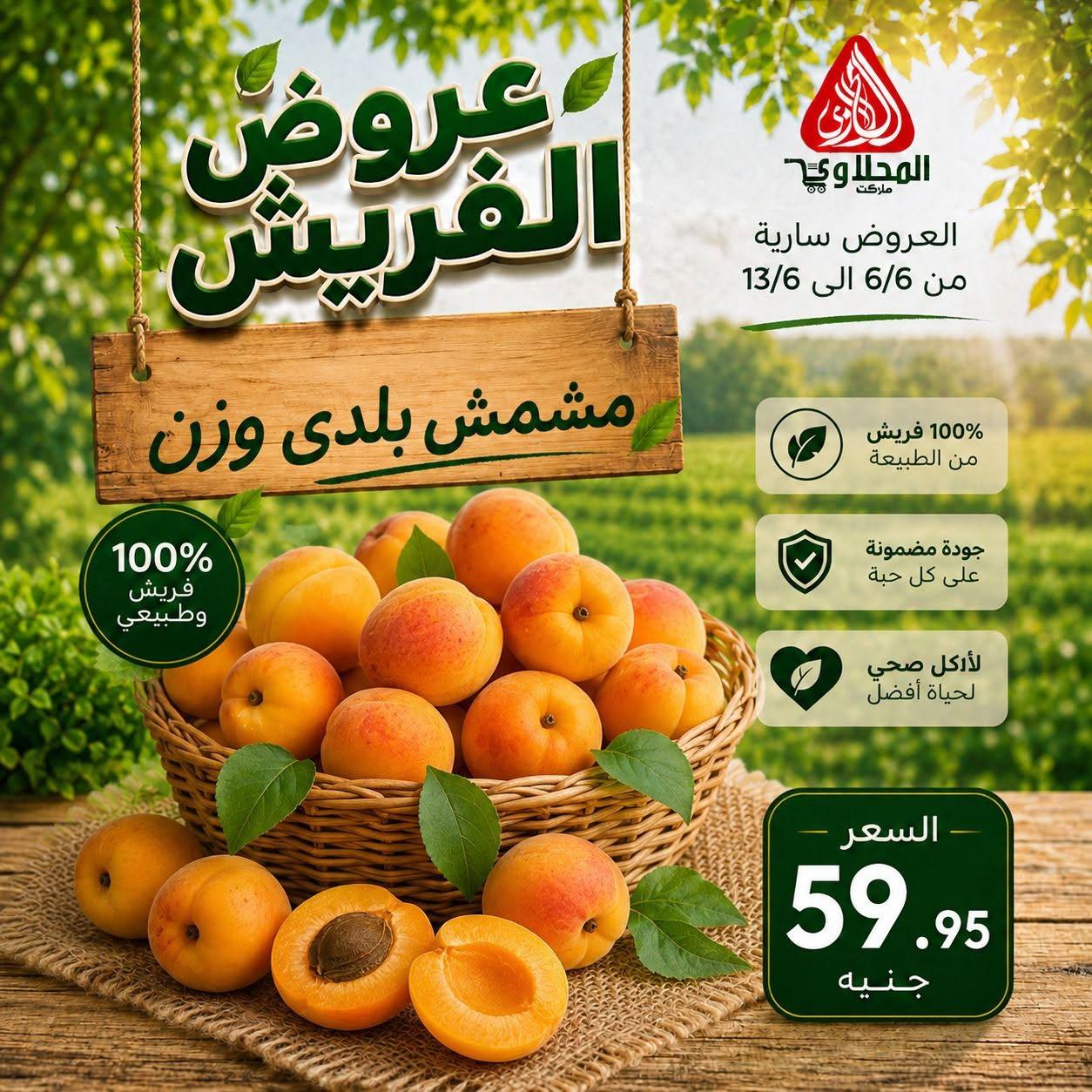 عروض المحلاوي 6-13 يونيو 2026 صفحة 15 - el mahallawy offers 6-13 June 2026 page 15