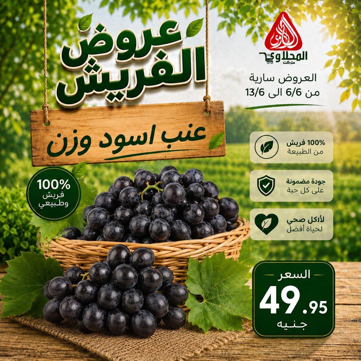 عروض المحلاوي 6-13 يونيو 2026 صفحة 3 - el mahallawy offers 6-13 June 2026 page 3