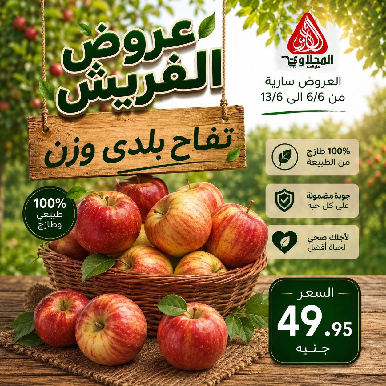 عروض المحلاوي 6-13 يونيو 2026 صفحة 9 - el mahallawy offers 6-13 June 2026 page 9
