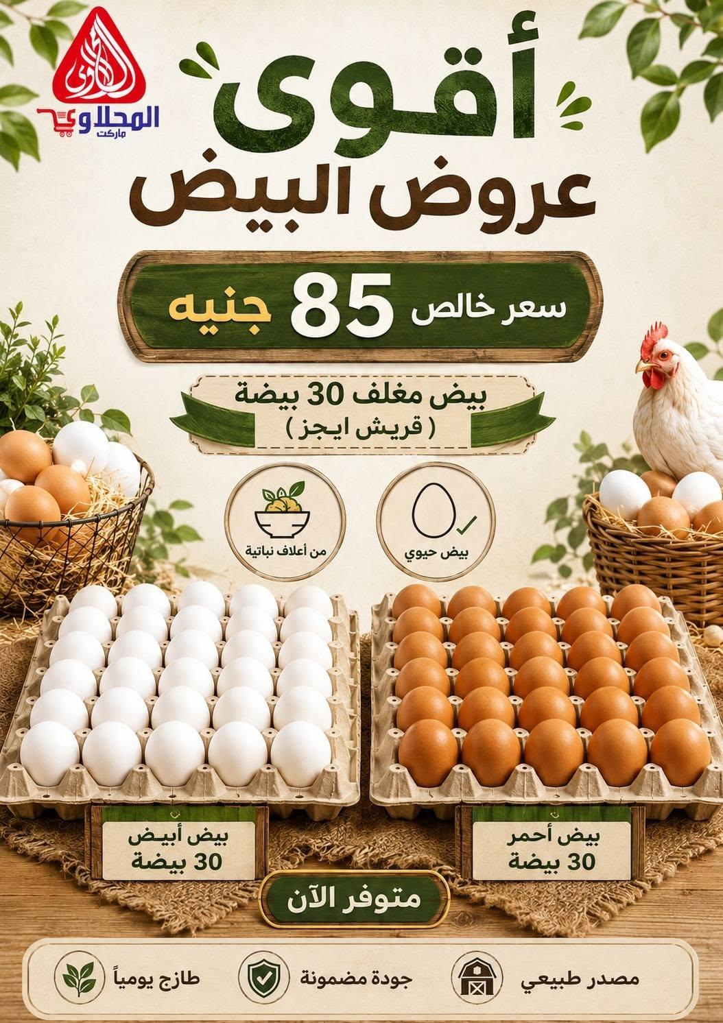 عروض المحلاوي من 9 يونيو 2026  صفحة 3 - el mahallawy offers 9-9 June 2026 page 3