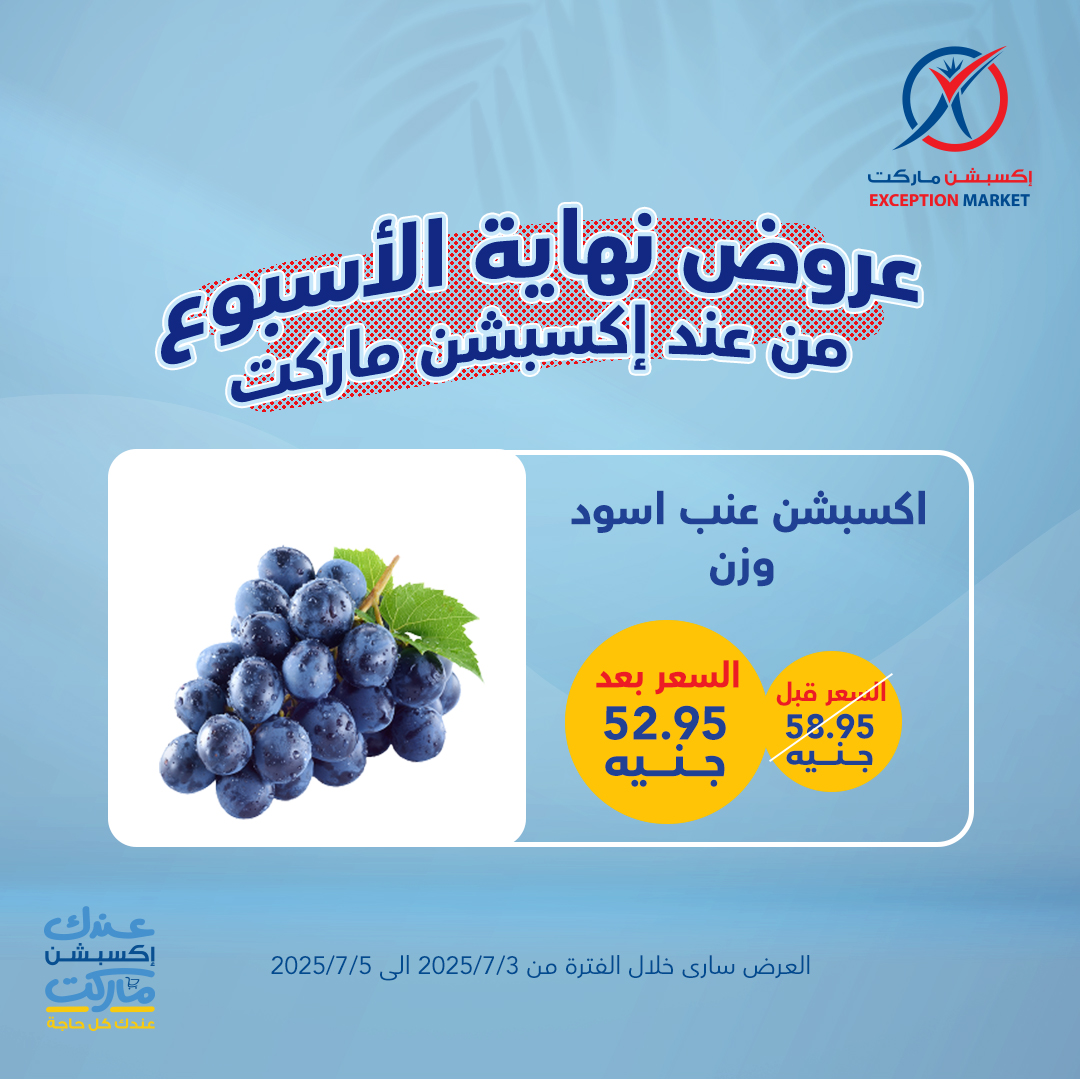 exception offers from 1jul to 2jun 2025 عروض اكسبشن من 1 يوليو حتى 2 يونيو 2025 صفحة رقم 8